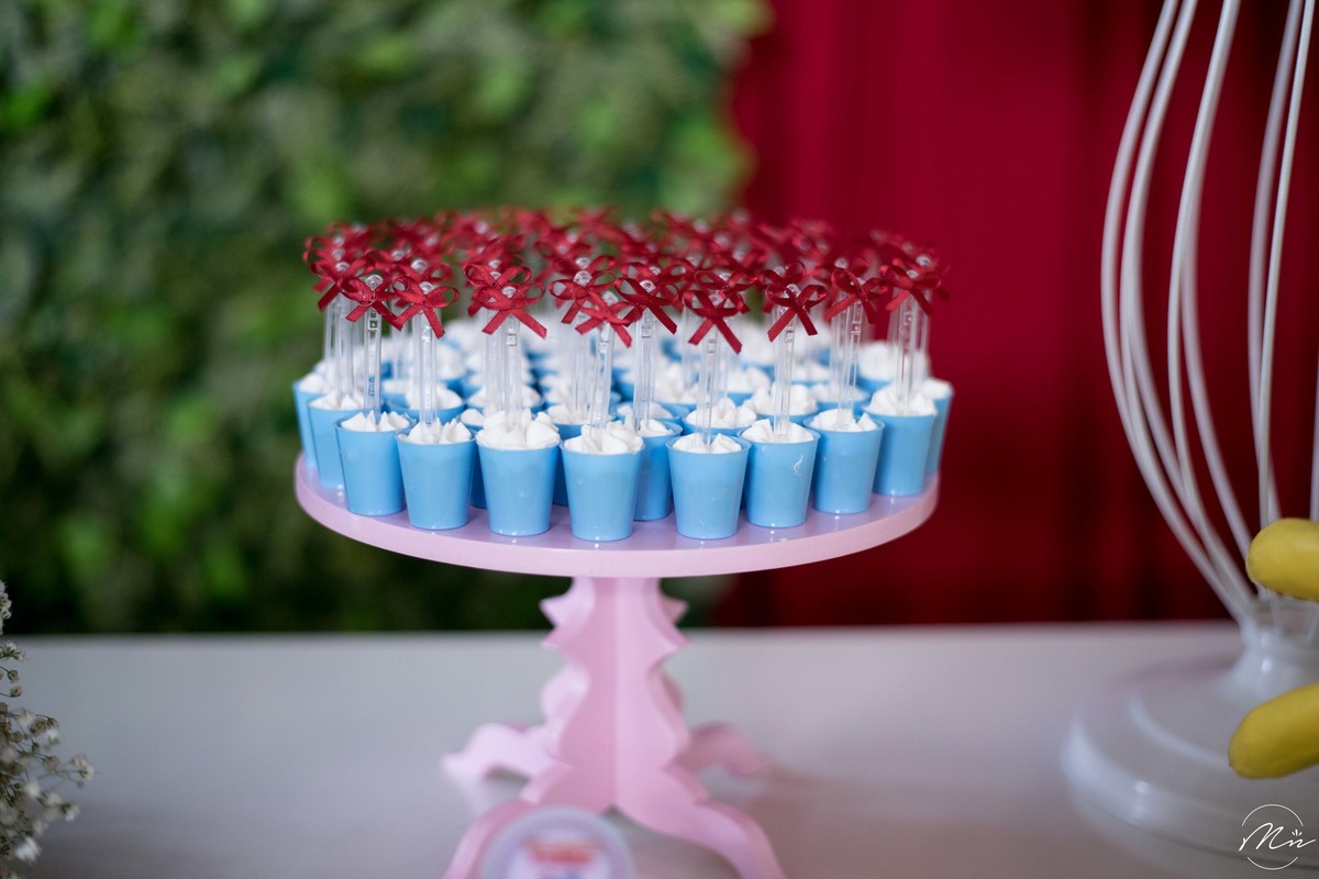 aniversario-infantil-realizado-em-guaratingueta-sp-pela-fotografa-marcela-nunes