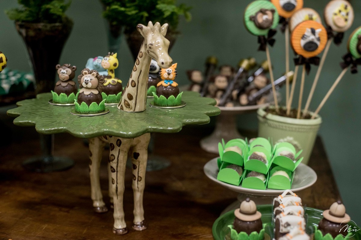 aniversario-infantil-safari-do-guilherme-guaratingueta-sp-fotografado-por-marcela-nunes-fotografia