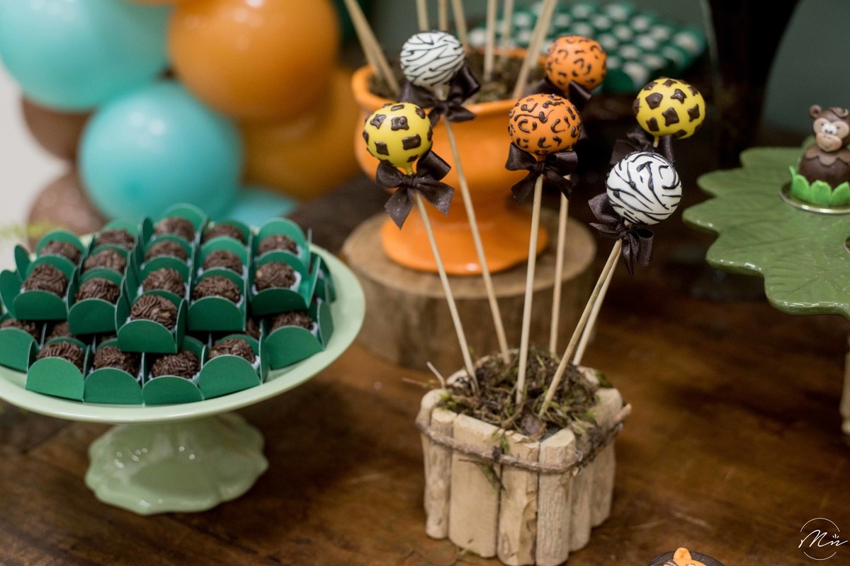 aniversario-infantil-safari-do-guilherme-guaratingueta-sp-fotografado-por-marcela-nunes-fotografia