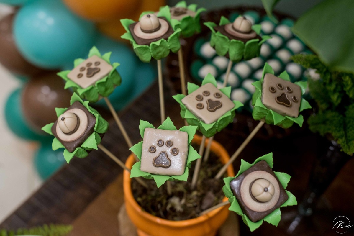 aniversario-infantil-safari-do-guilherme-guaratingueta-sp-fotografado-por-marcela-nunes-fotografia