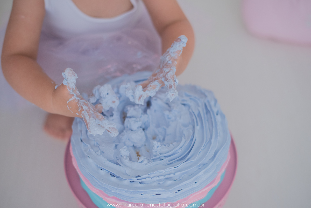 ensaio-familia-smash-the-cake-2-anos