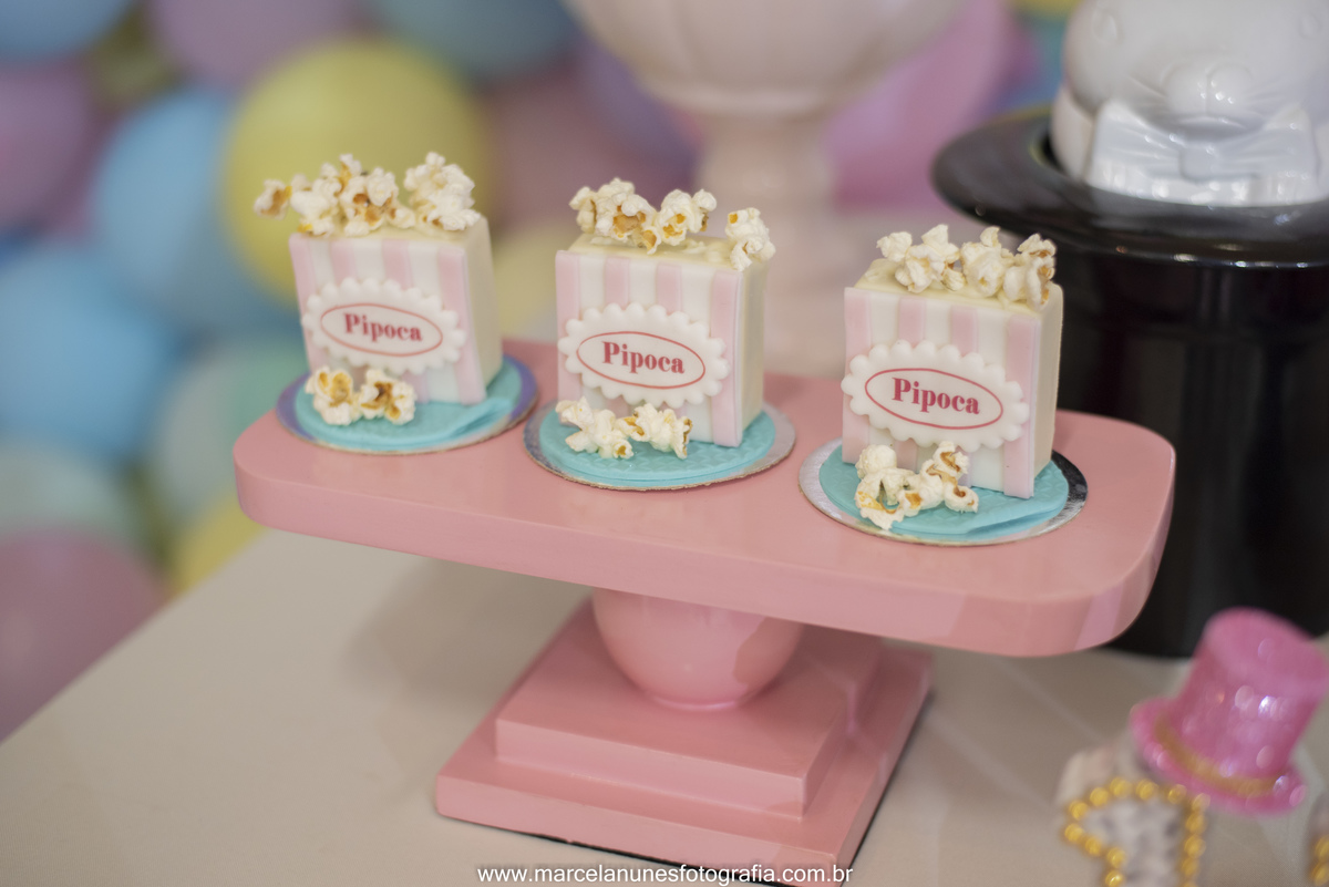 aniversario-infantil-maria-luisa-circo-rosa-guaratingueta-sp