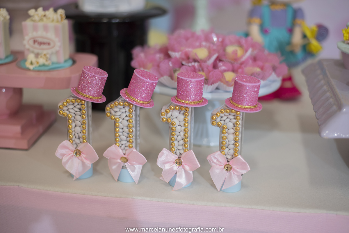 aniversario-infantil-maria-luisa-circo-rosa-guaratingueta-sp