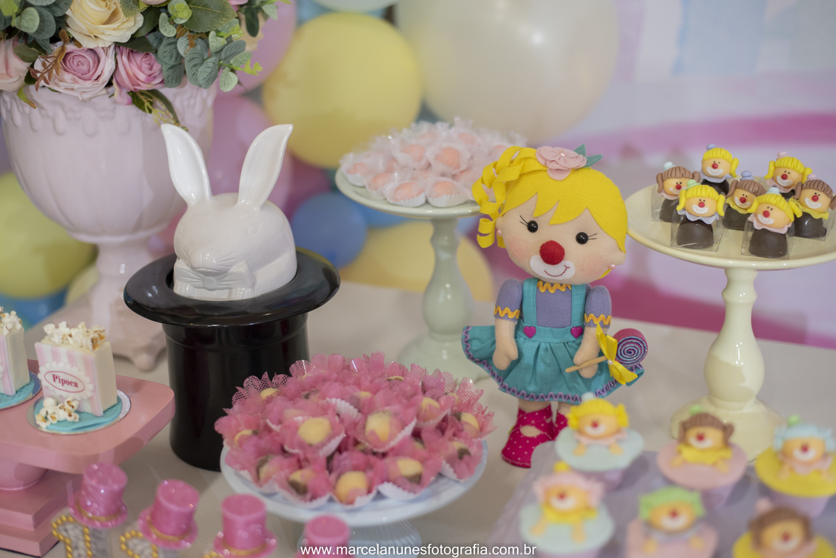 aniversario-infantil-maria-luisa-circo-rosa-guaratingueta-sp