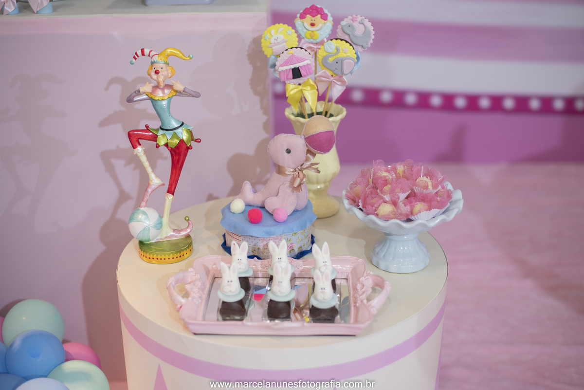 aniversario-infantil-maria-luisa-circo-rosa-guaratingueta-sp