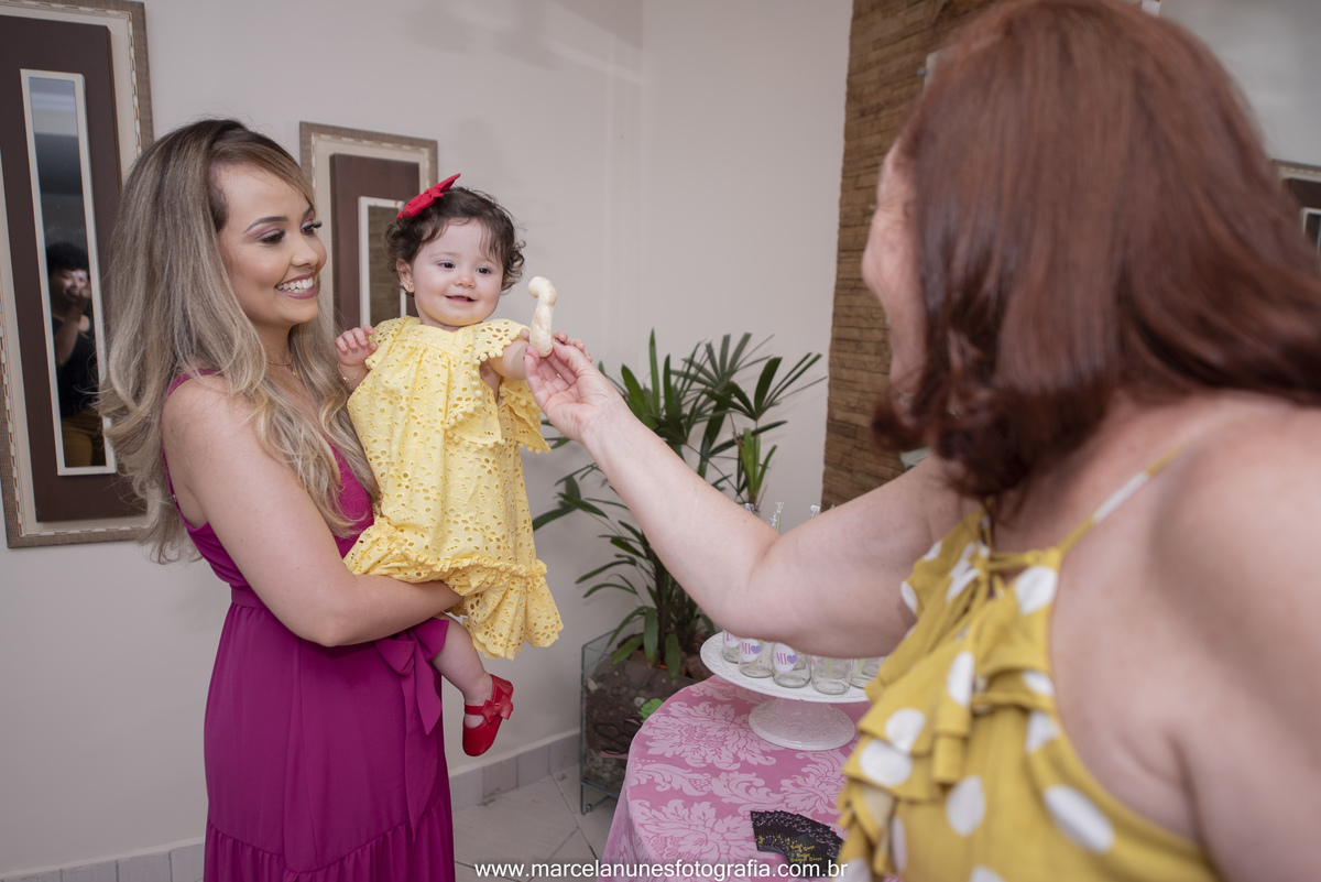 aniversario-infantil-maria-luisa-circo-rosa-guaratingueta-sp