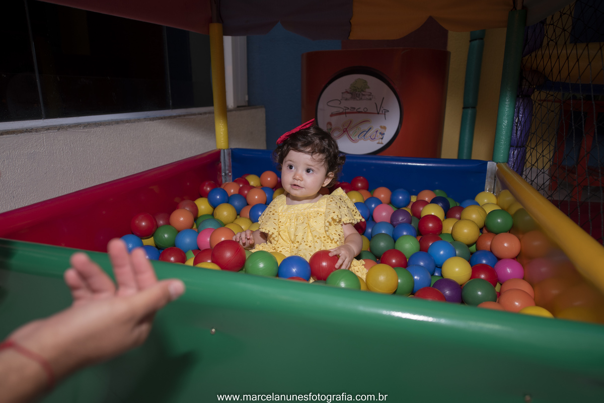 aniversario-infantil-maria-luisa-circo-rosa-guaratingueta-sp
