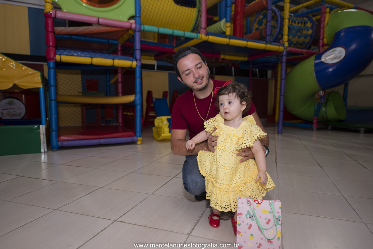 aniversario-infantil-maria-luisa-circo-rosa-guaratingueta-sp