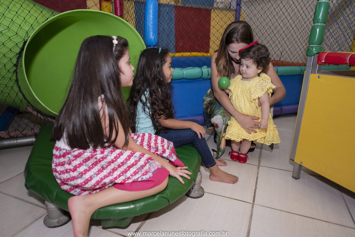 aniversario-infantil-maria-luisa-circo-rosa-guaratingueta-sp