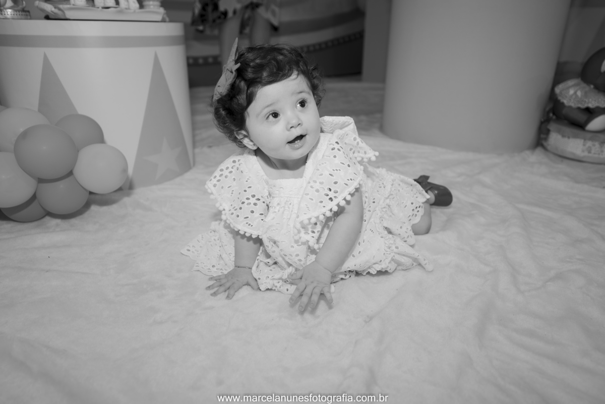 aniversario-infantil-maria-luisa-circo-rosa-guaratingueta-sp