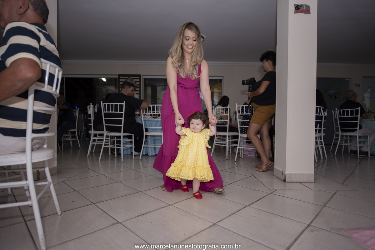 aniversario-infantil-maria-luisa-circo-rosa-guaratingueta-sp