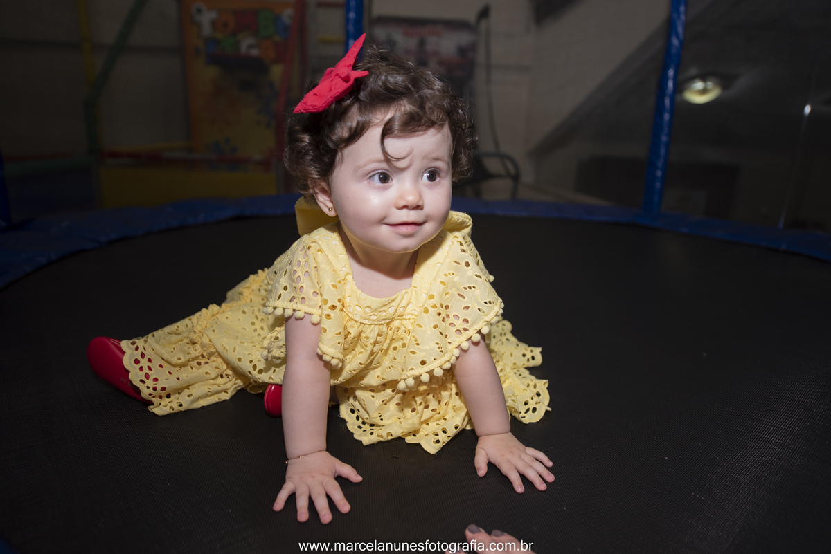 aniversario-infantil-maria-luisa-circo-rosa-guaratingueta-sp