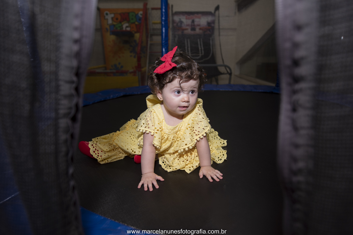 aniversario-infantil-maria-luisa-circo-rosa-guaratingueta-sp