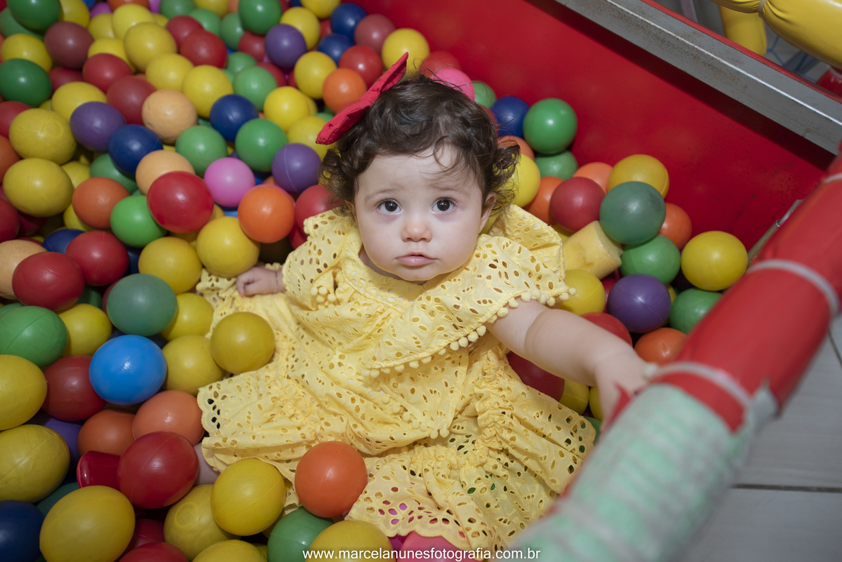 aniversario-infantil-maria-luisa-circo-rosa-guaratingueta-sp