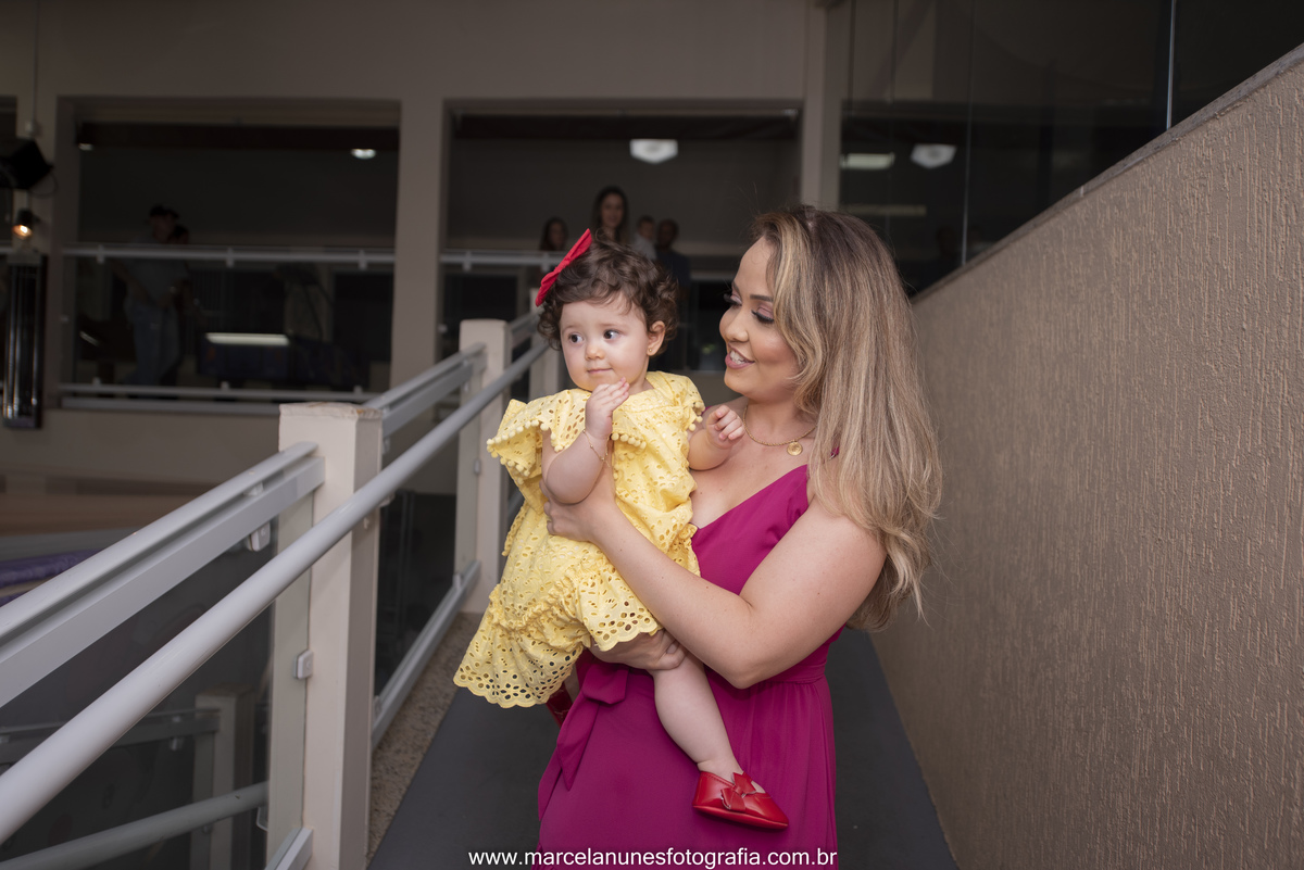 aniversario-infantil-maria-luisa-circo-rosa-guaratingueta-sp