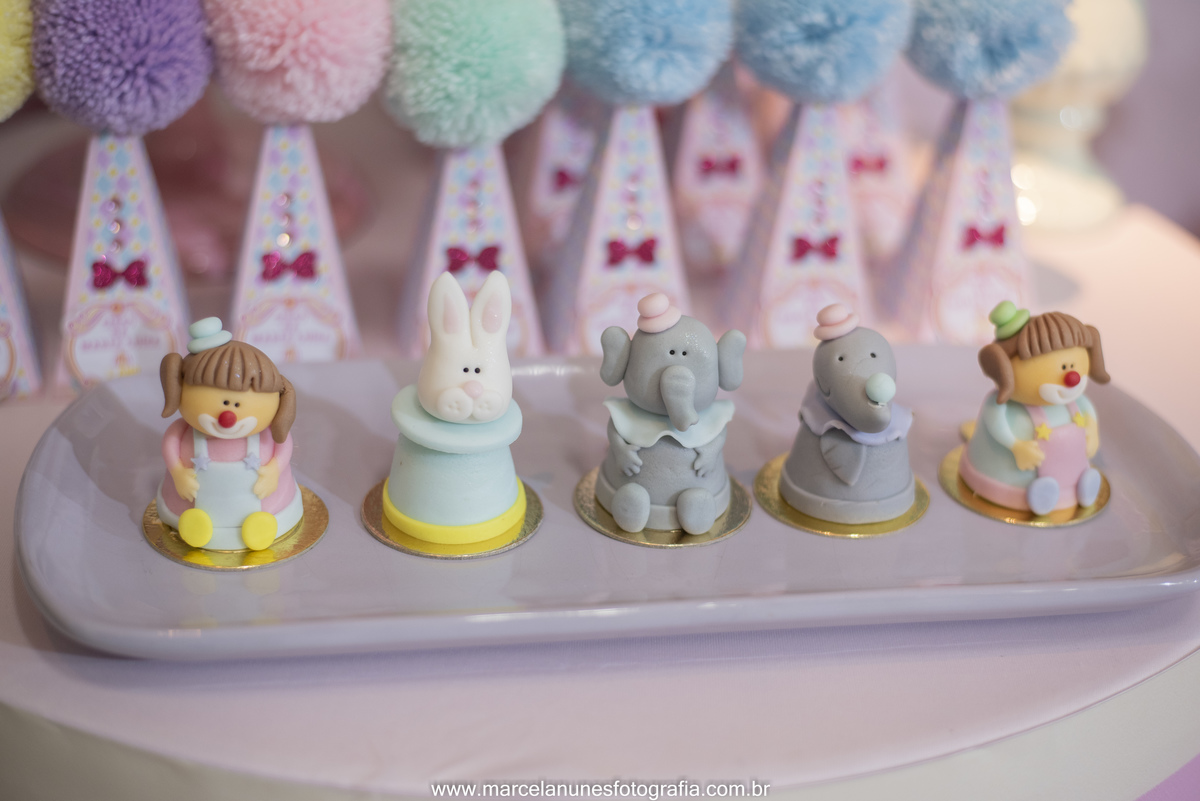 aniversario-infantil-maria-luisa-circo-rosa-guaratingueta-sp