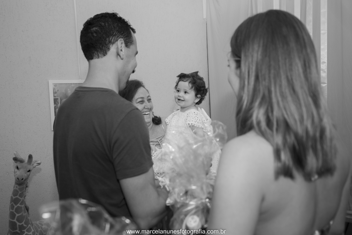 aniversario-infantil-maria-luisa-circo-rosa-guaratingueta-sp