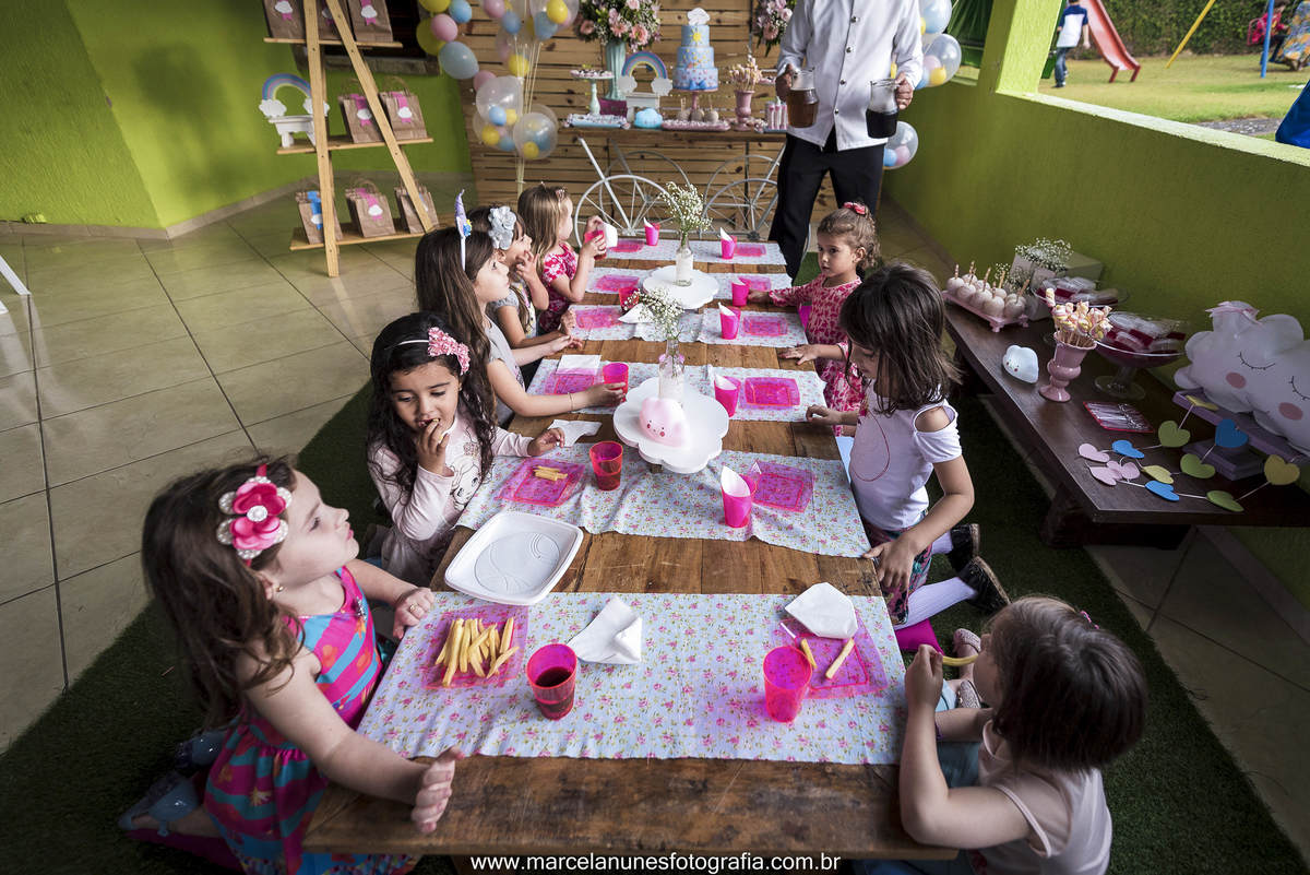 aniversario-infantil-em-guaratingueta-sp