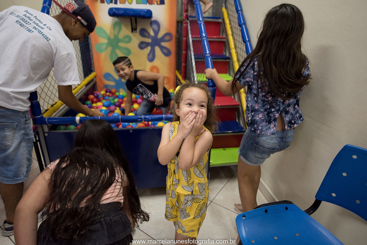 aniversario-infantil-ladybug-em-guaratingueta-sp