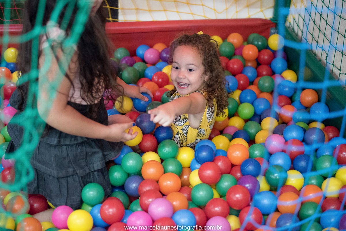 aniversario-infantil-ladybug-em-guaratingueta-sp