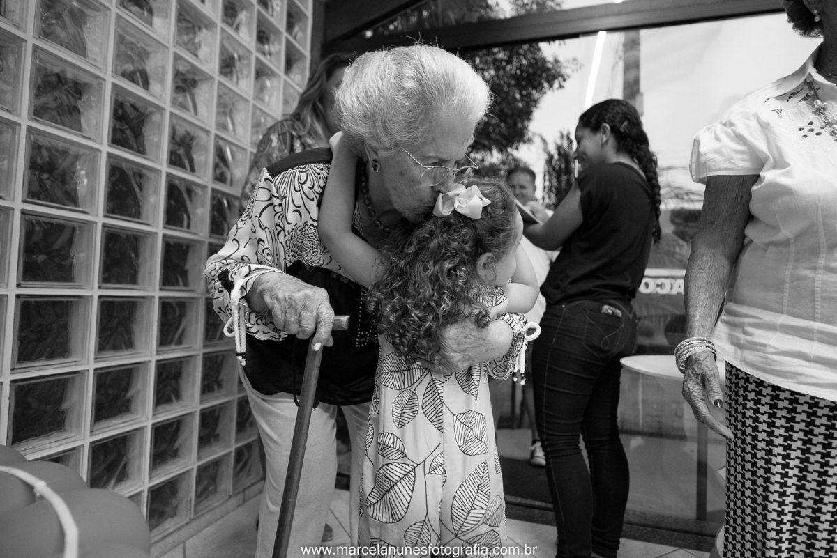 aniversario-infantil-ladybug-em-guaratingueta-sp