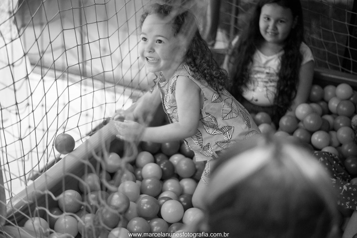 aniversario-infantil-ladybug-em-guaratingueta-sp
