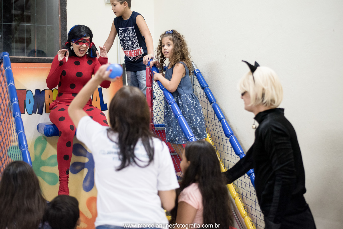 aniversario-infantil-ladybug-em-guaratingueta-sp