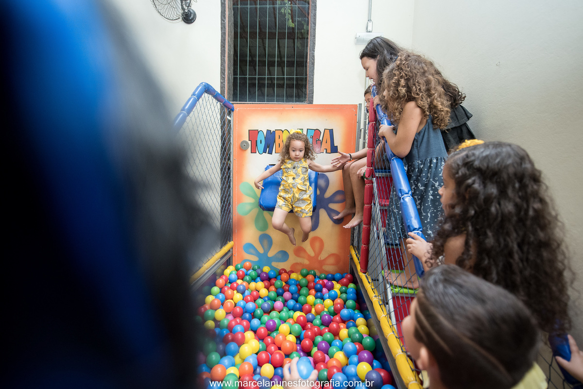 aniversario-infantil-ladybug-em-guaratingueta-sp