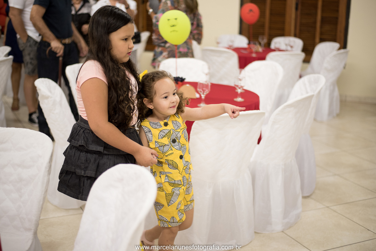 aniversario-infantil-ladybug-em-guaratingueta-sp