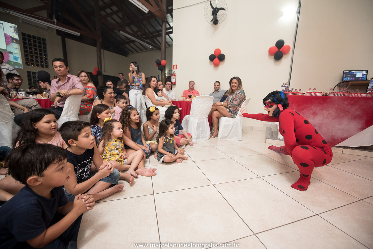 aniversario-infantil-ladybug-em-guaratingueta-sp
