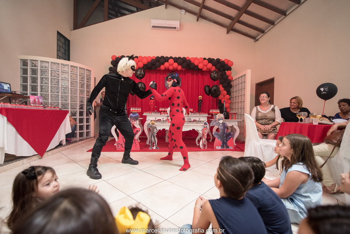 aniversario-infantil-ladybug-em-guaratingueta-sp
