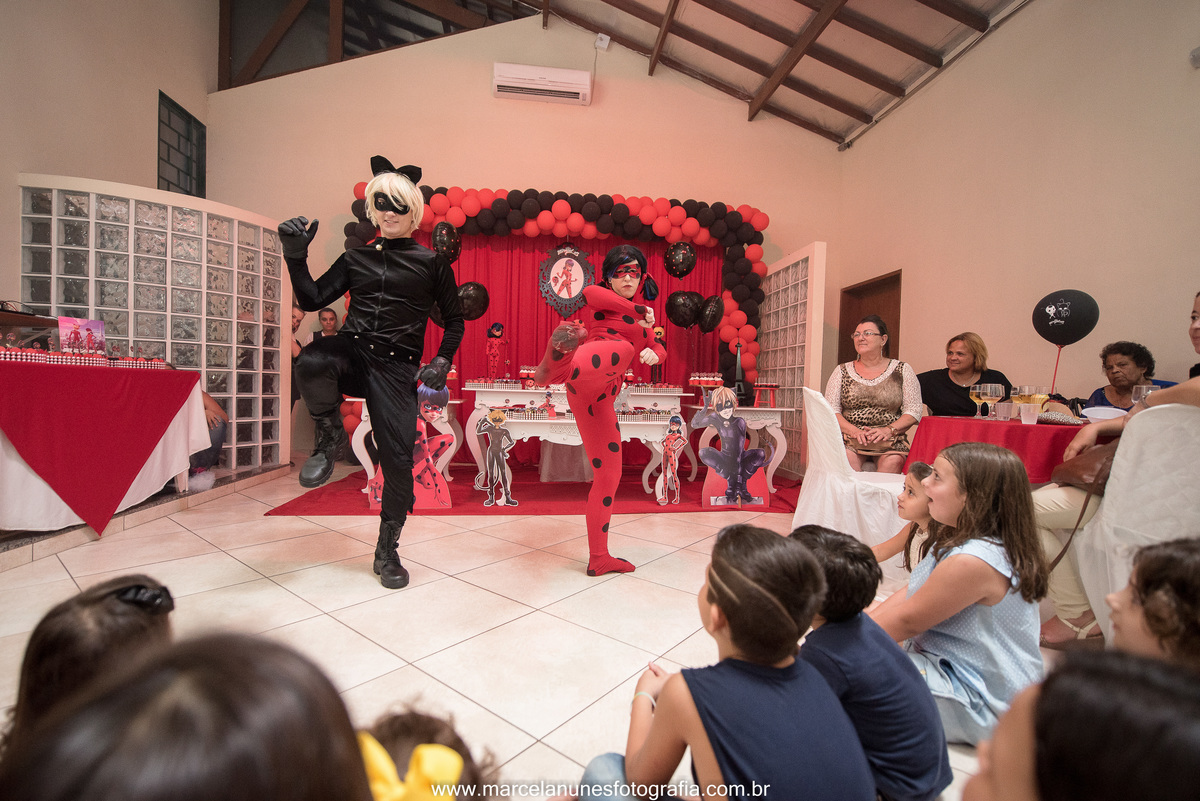 aniversario-infantil-ladybug-em-guaratingueta-sp