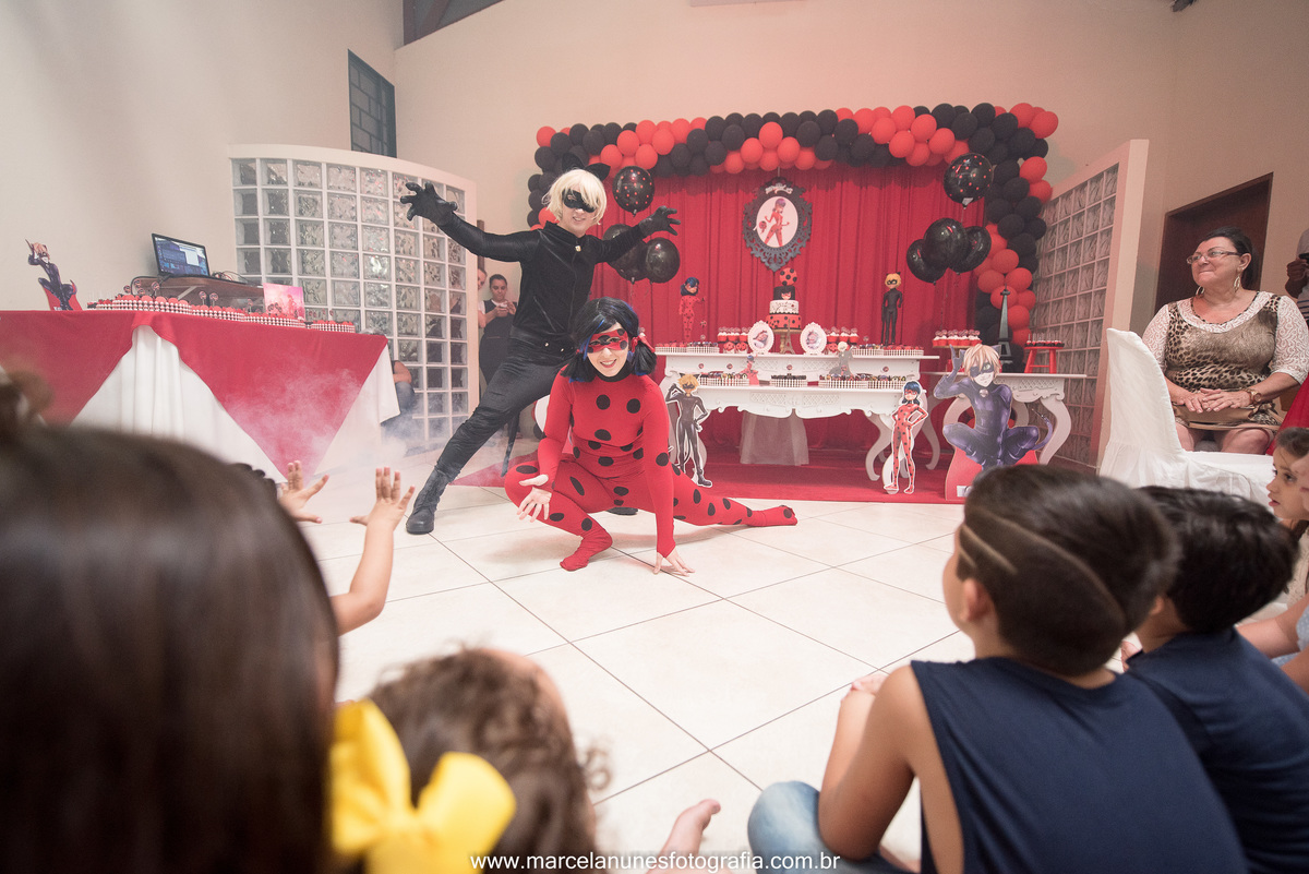 aniversario-infantil-ladybug-em-guaratingueta-sp