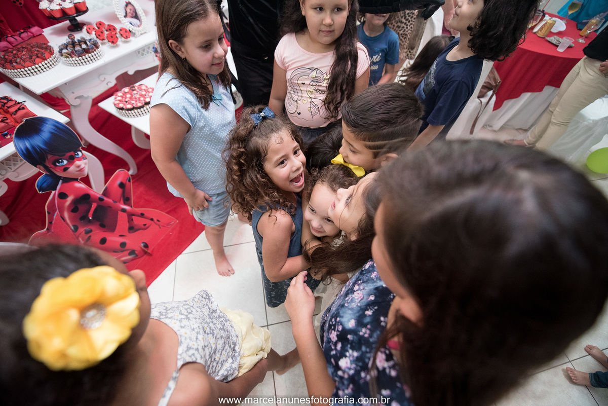 aniversario-infantil-ladybug-em-guaratingueta-sp