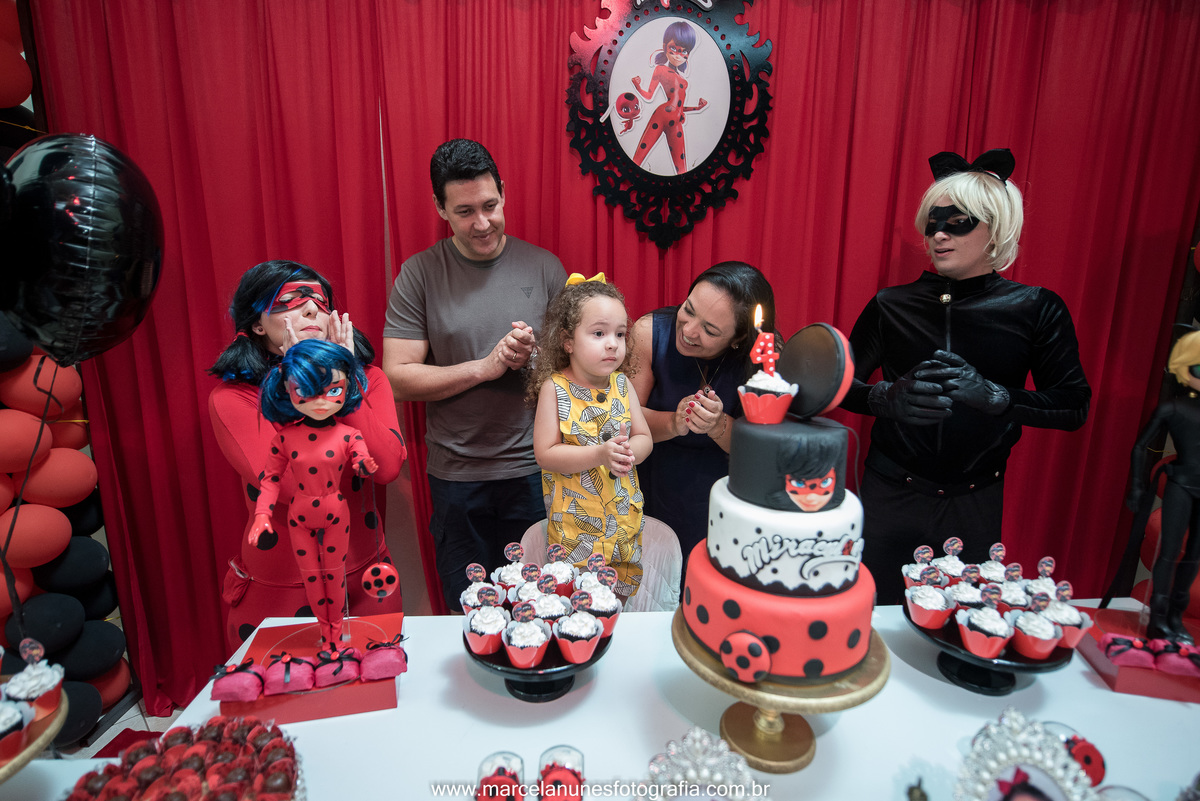 aniversario-infantil-ladybug-em-guaratingueta-sp