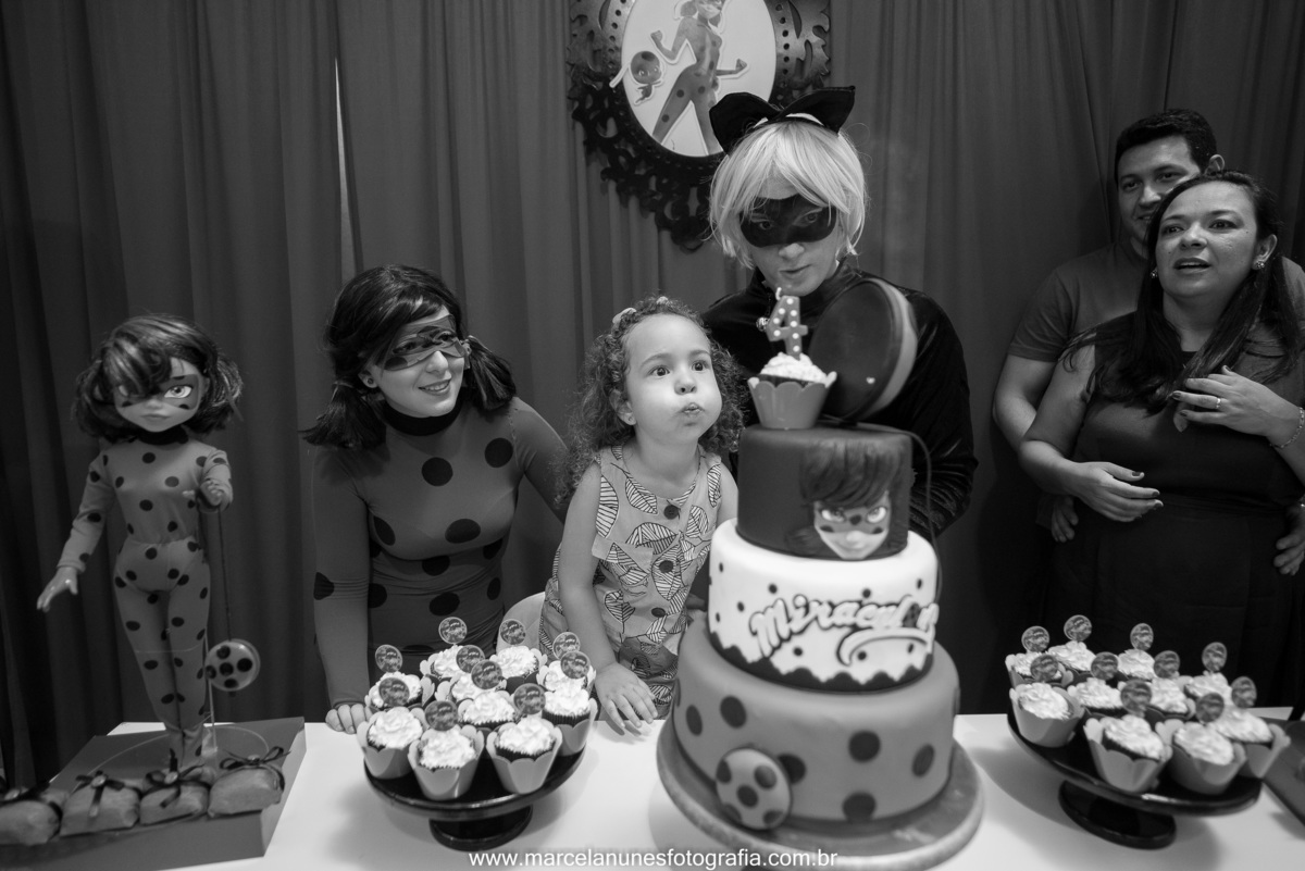 aniversario-infantil-ladybug-em-guaratingueta-sp