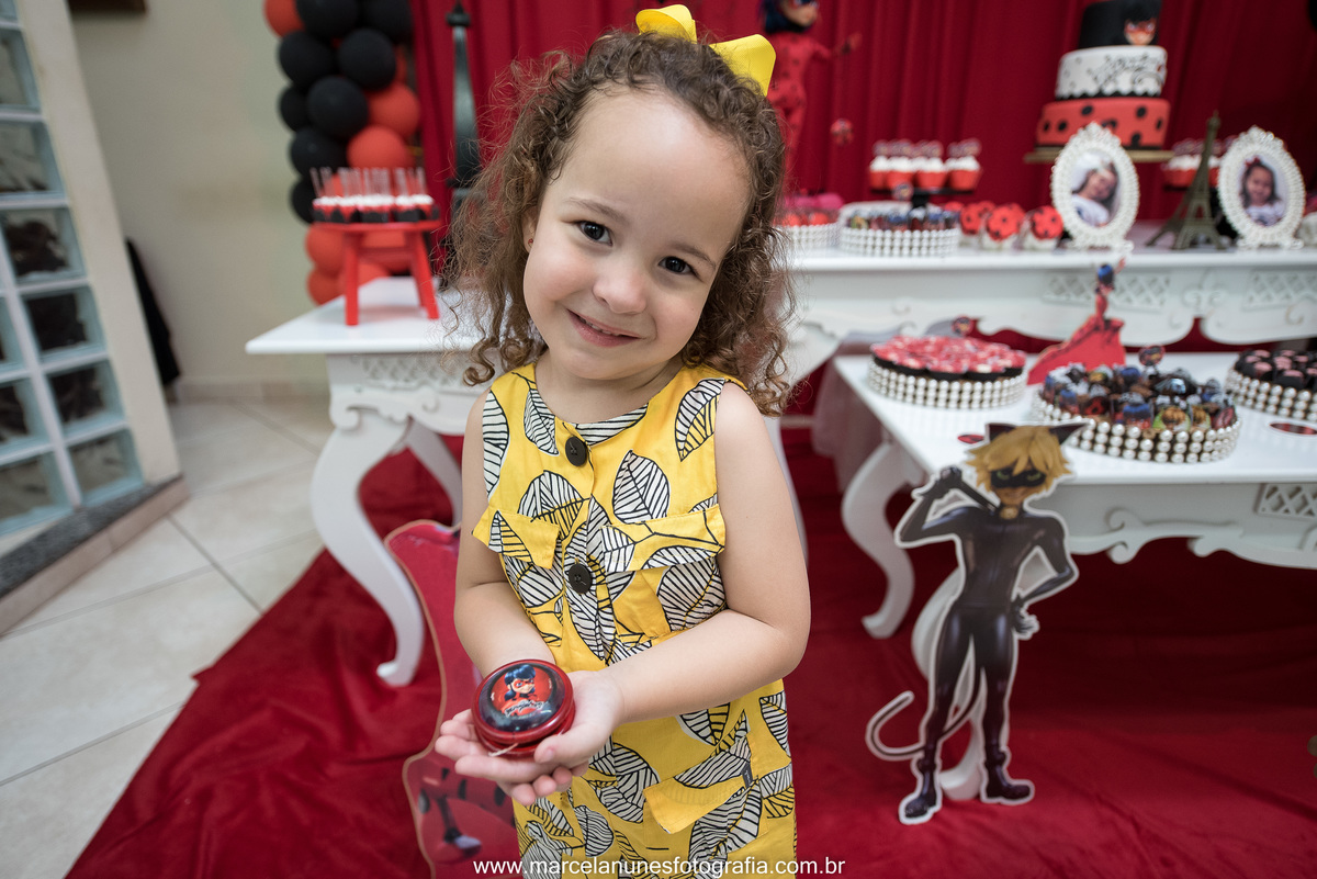 aniversario-infantil-ladybug-em-guaratingueta-sp