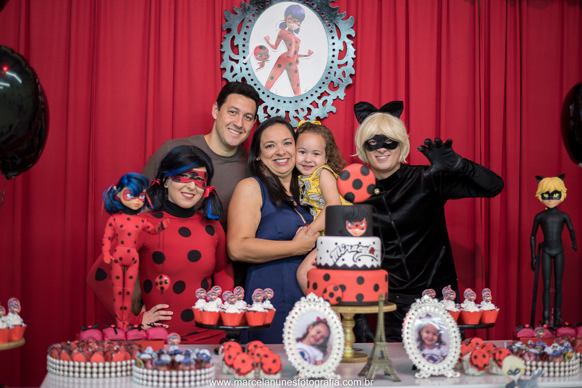 aniversario-infantil-ladybug-em-guaratingueta-sp