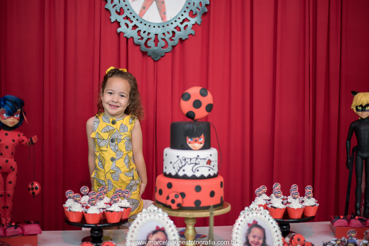 aniversario-infantil-ladybug-em-guaratingueta-sp