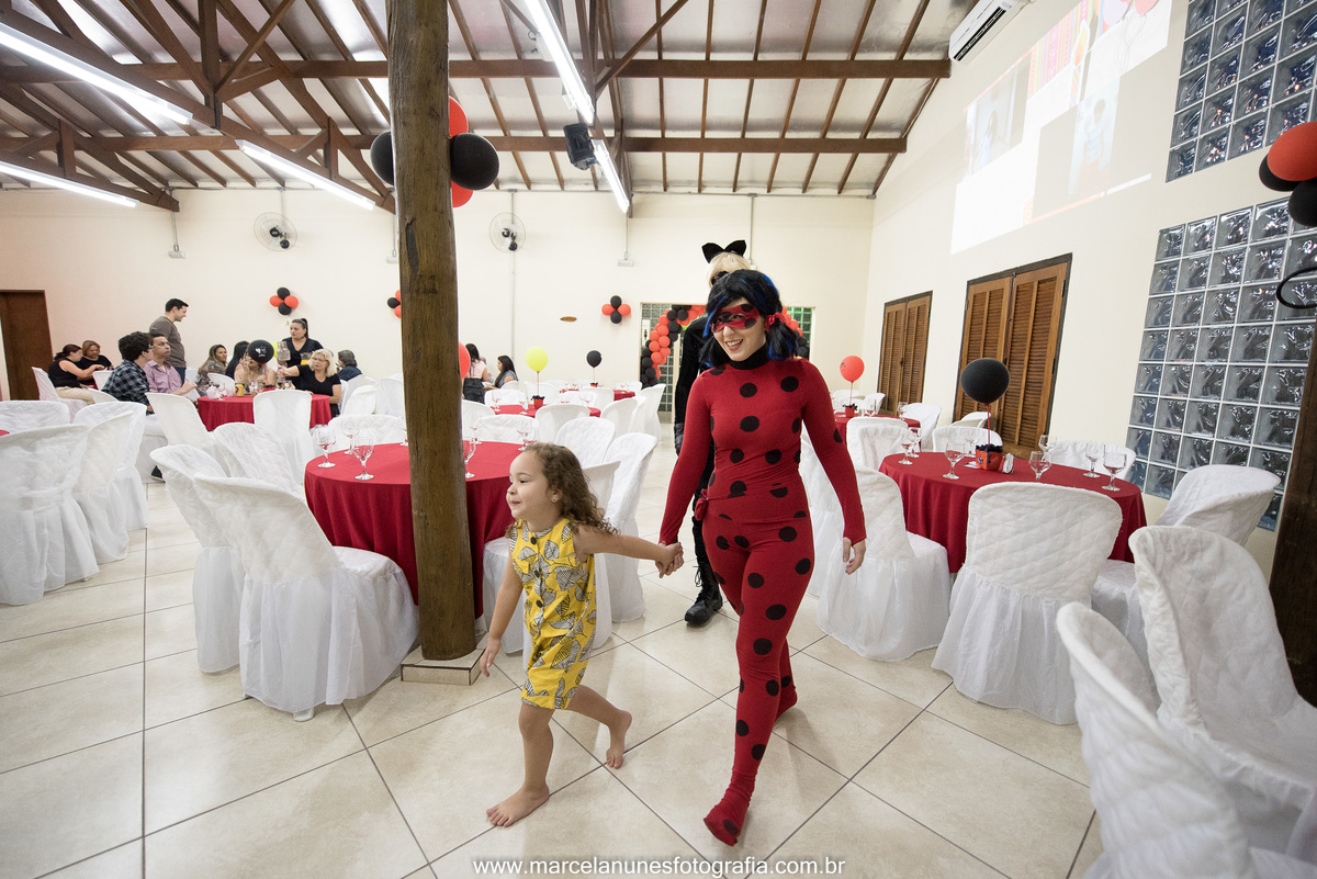 aniversario-infantil-ladybug-em-guaratingueta-sp