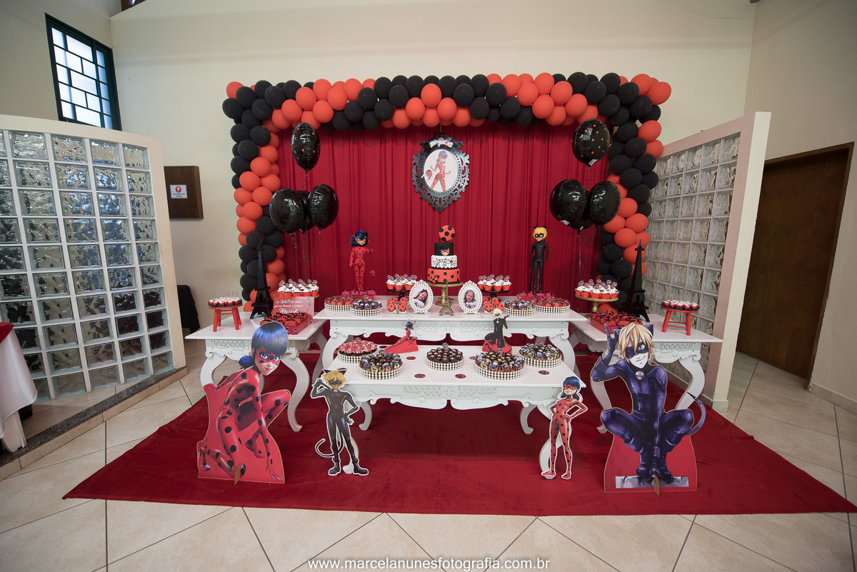 aniversario-infantil-ladybug-em-guaratingueta-sp