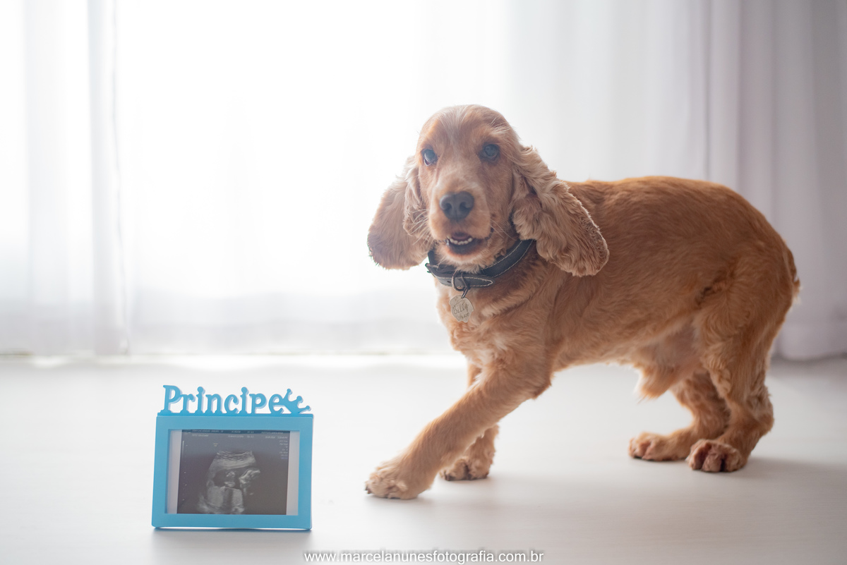 ensaio-gestante-em-estudio-lifestyle