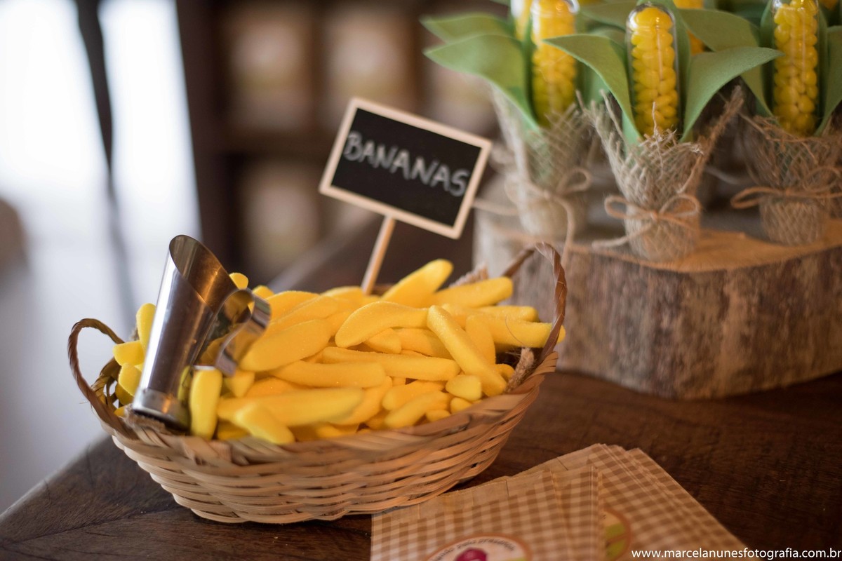 aniversario-infantil-1-ano-fazendinha-do-joao-recanto-do-bosque-guaratingueta-sp