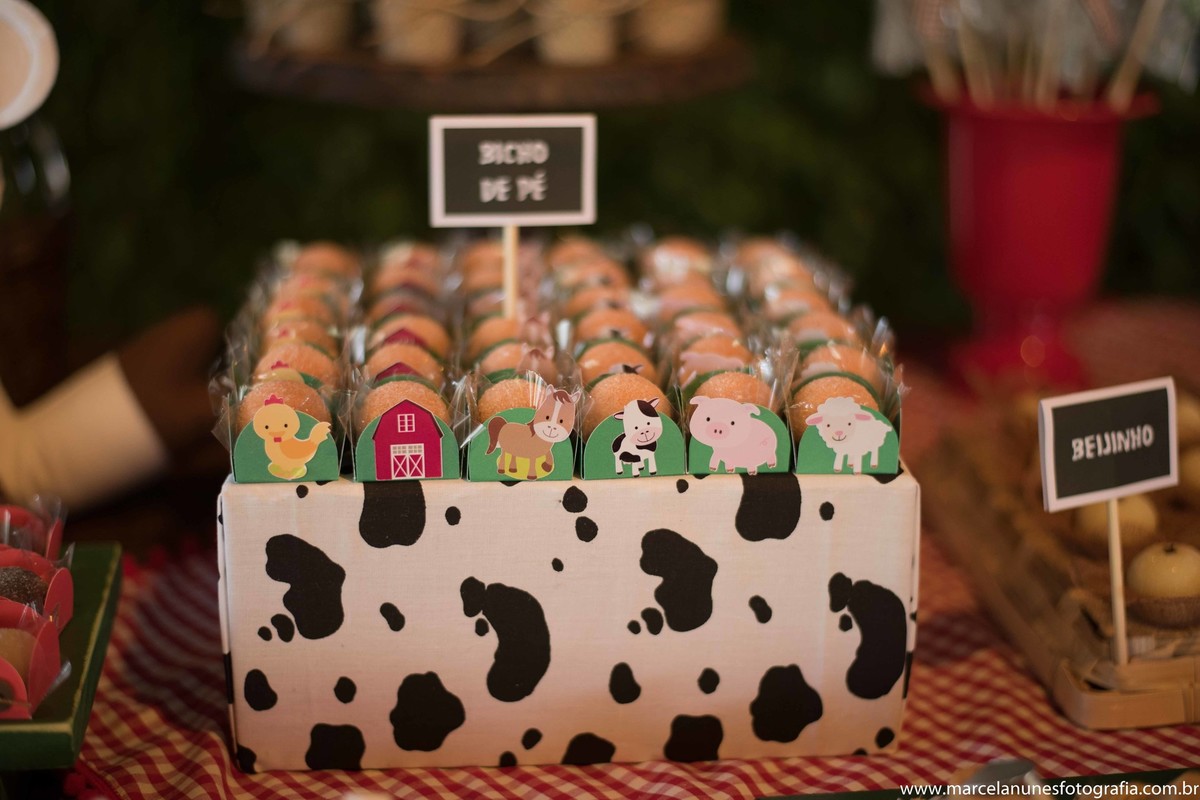 aniversario-infantil-1-ano-fazendinha-do-joao-recanto-do-bosque-guaratingueta-sp