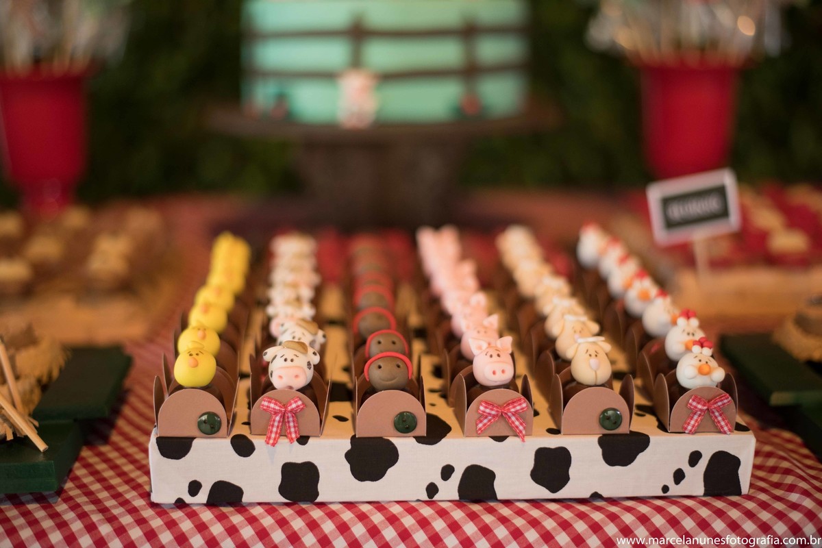 aniversario-infantil-1-ano-fazendinha-do-joao-recanto-do-bosque-guaratingueta-sp