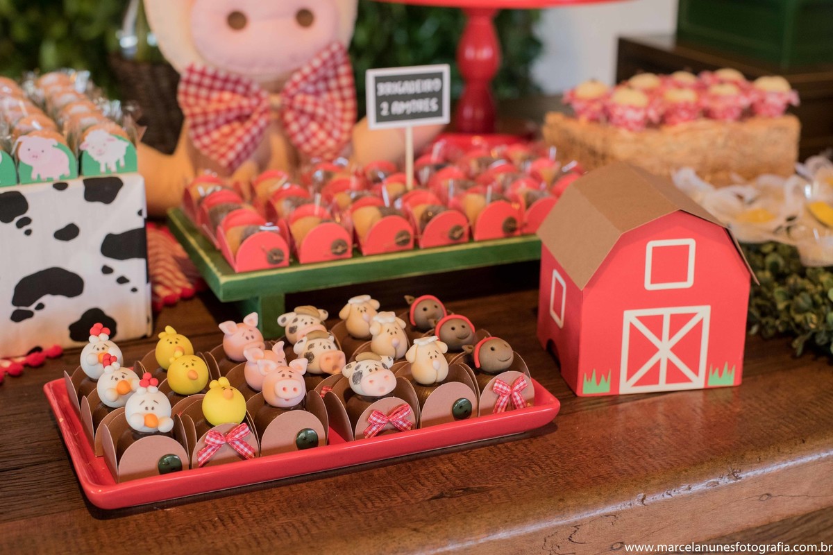 aniversario-infantil-1-ano-fazendinha-do-joao-recanto-do-bosque-guaratingueta-sp