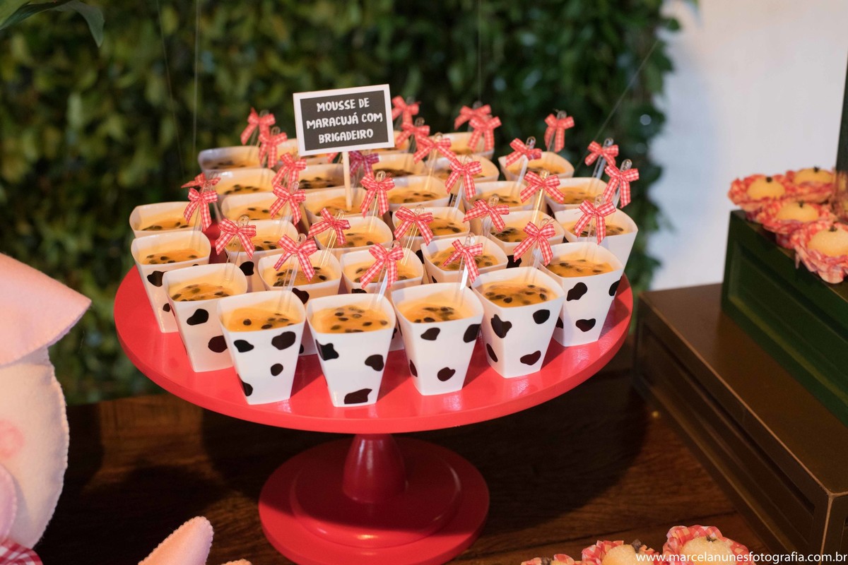 aniversario-infantil-1-ano-fazendinha-do-joao-recanto-do-bosque-guaratingueta-sp