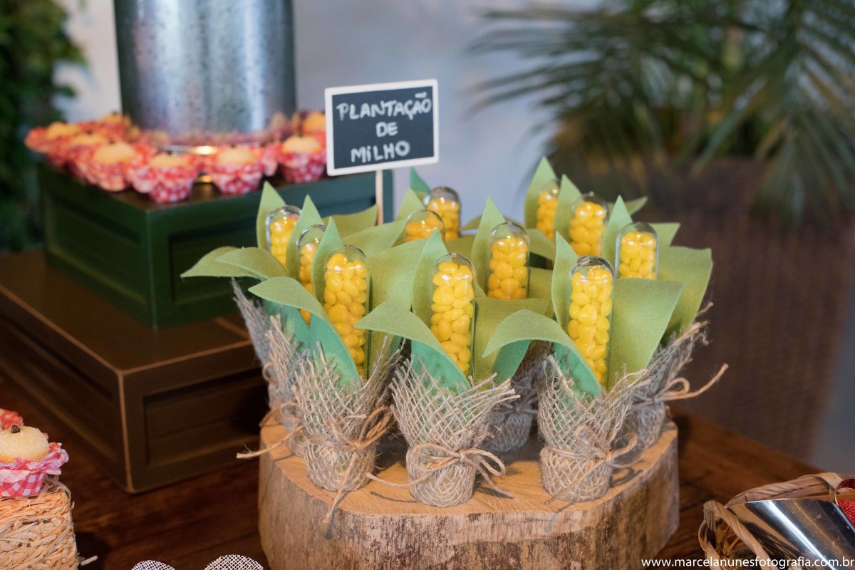 aniversario-infantil-1-ano-fazendinha-do-joao-recanto-do-bosque-guaratingueta-sp