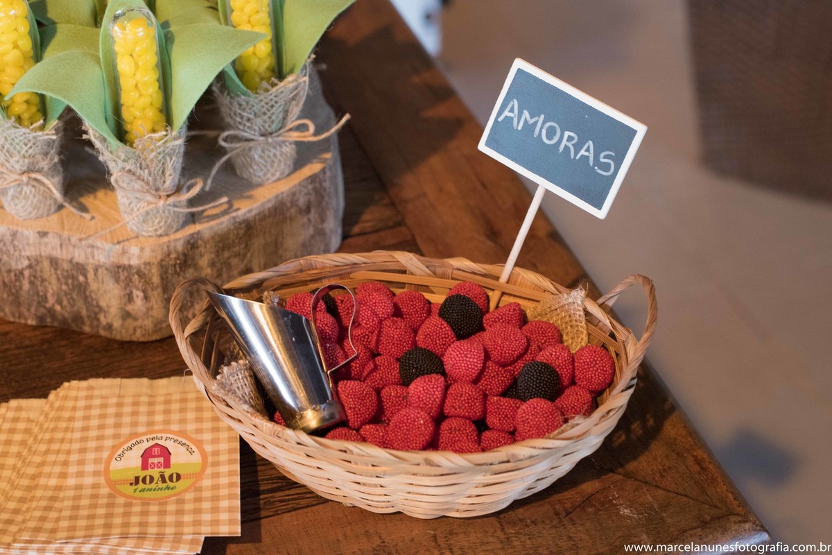 aniversario-infantil-1-ano-fazendinha-do-joao-recanto-do-bosque-guaratingueta-sp