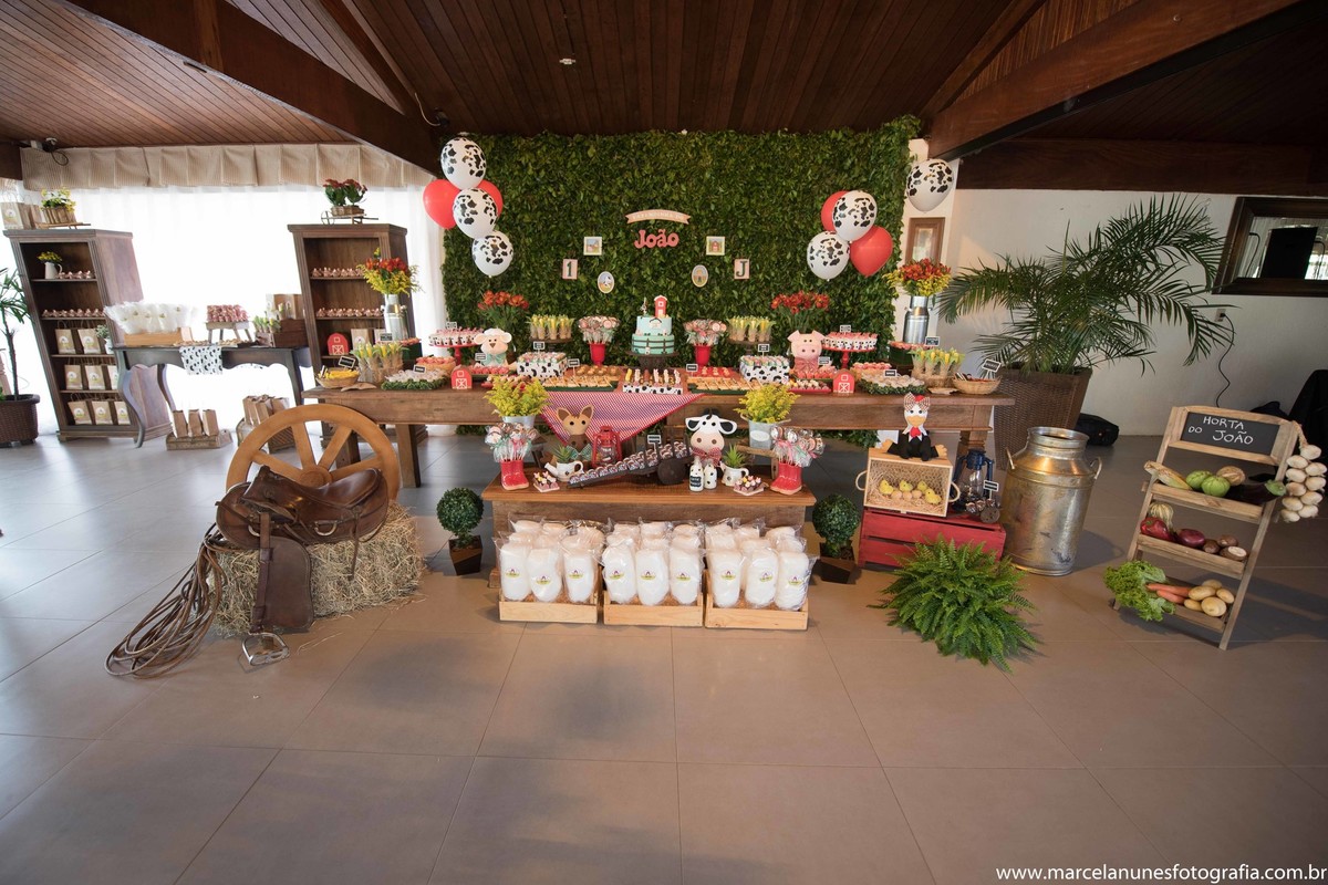 aniversario-infantil-1-ano-fazendinha-do-joao-recanto-do-bosque-guaratingueta-sp